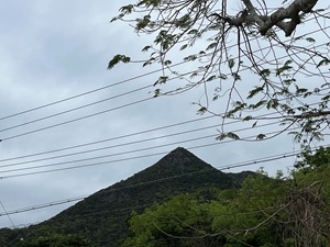 西原