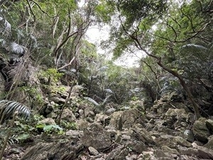西原
