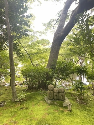 新屋
