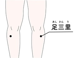 新城