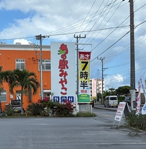 嘉数