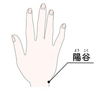新城