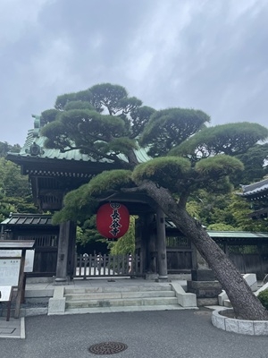 新屋