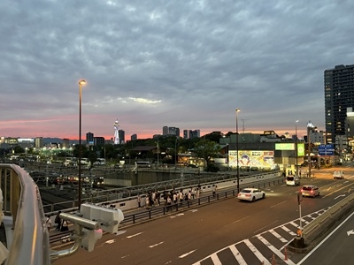 嘉数