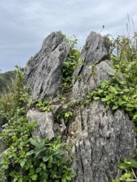 西原
