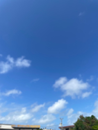 仲村