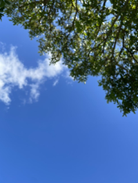 仲村