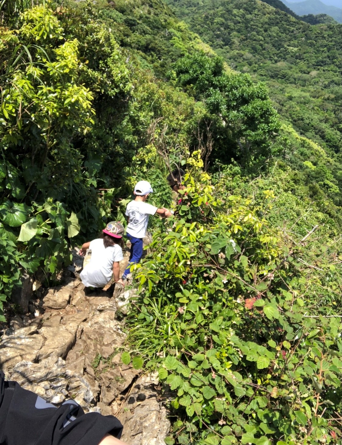 山登り④