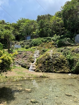 西原